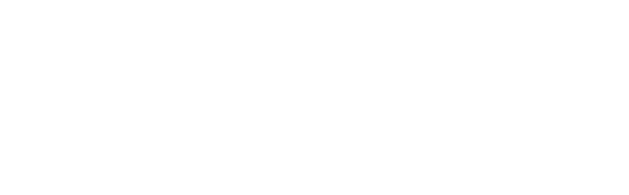 DigiPay